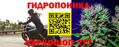 mix Кунгур
