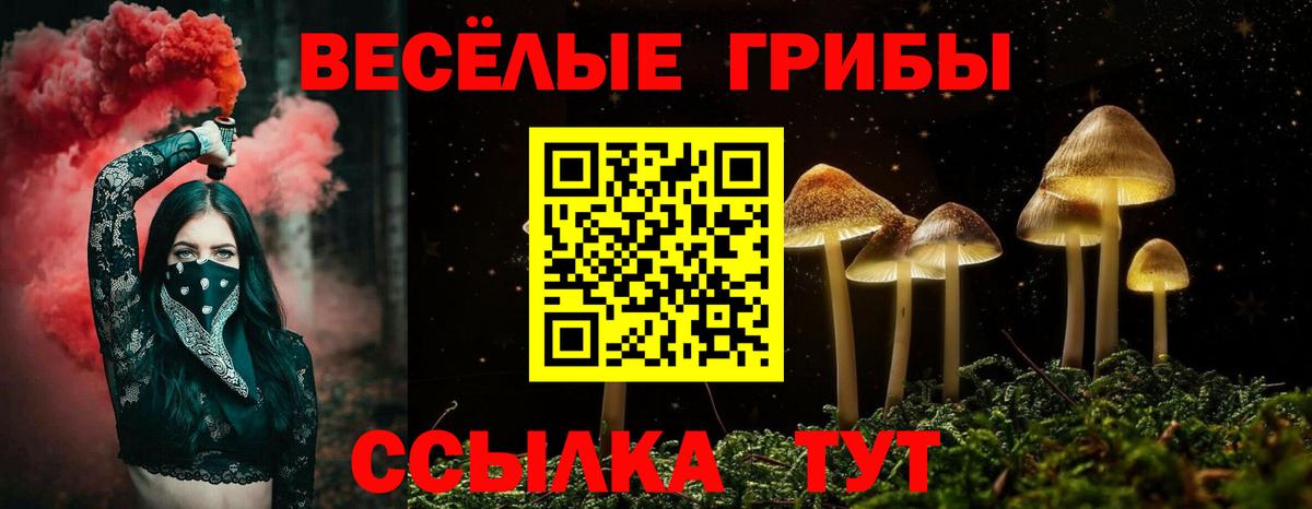 Кизляр  Галлюциногенные грибы Psilocybine cubensis  Вход с VPN  Псилоцибиновые грибы Cubensis 