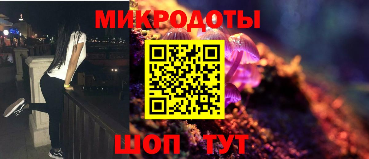Галлюциногенные грибы Psilocybine cubensis Кизляр