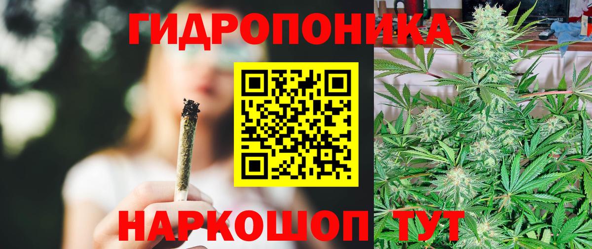 Шишки марихуана сатива Кизляр
